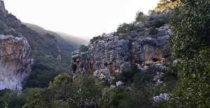 Mount Carmel Israel