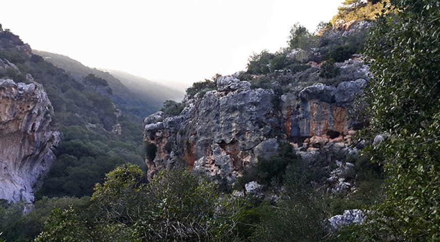 Mount Carmel Israel